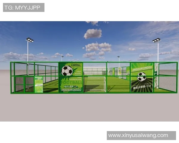 足球草皮的选择与维护技巧助你打造完美场地体验